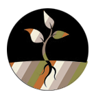 colorgrowncotton.png