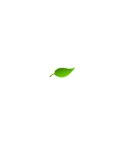 nontoxiclaundry
